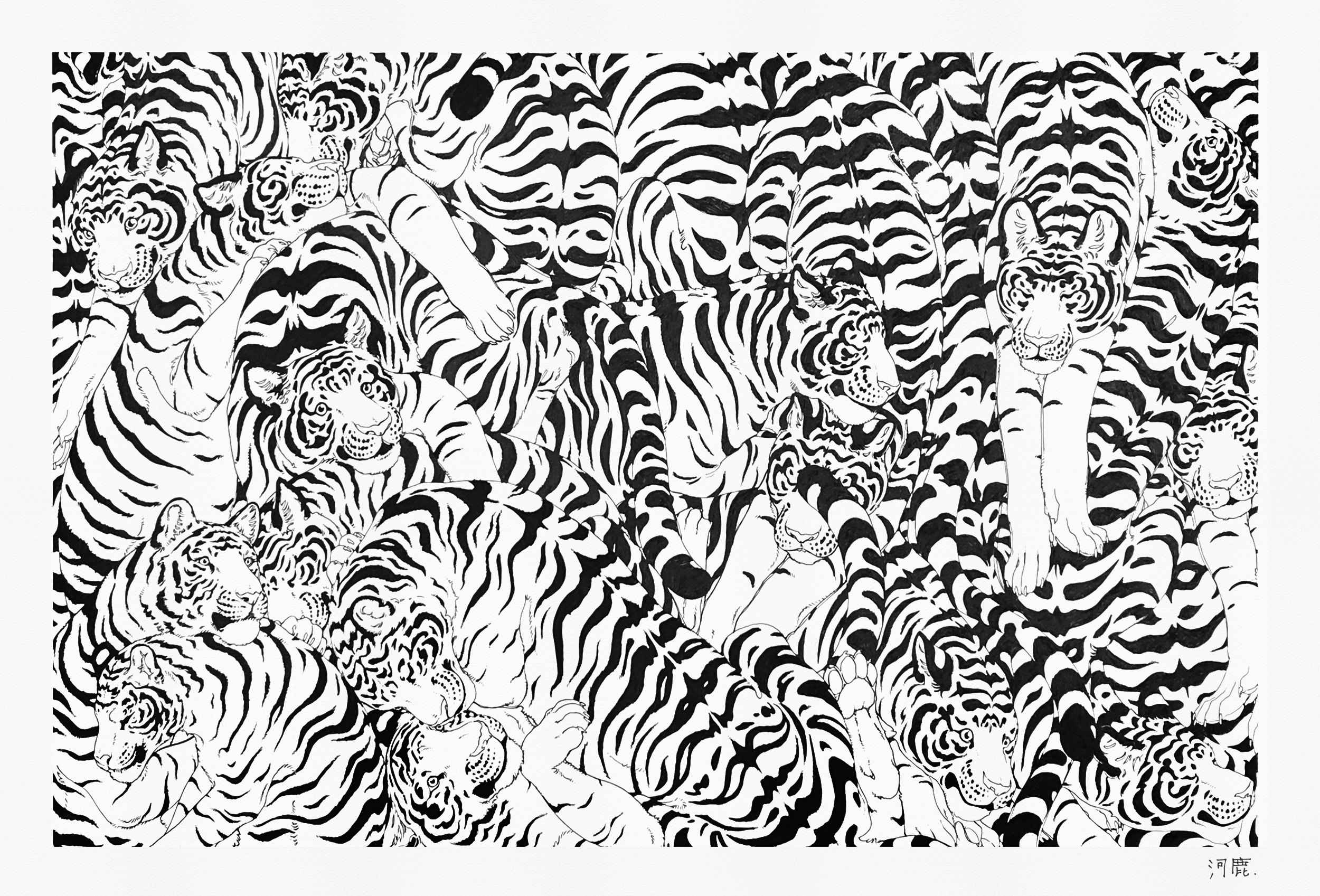 Tigers, Kajika Aki