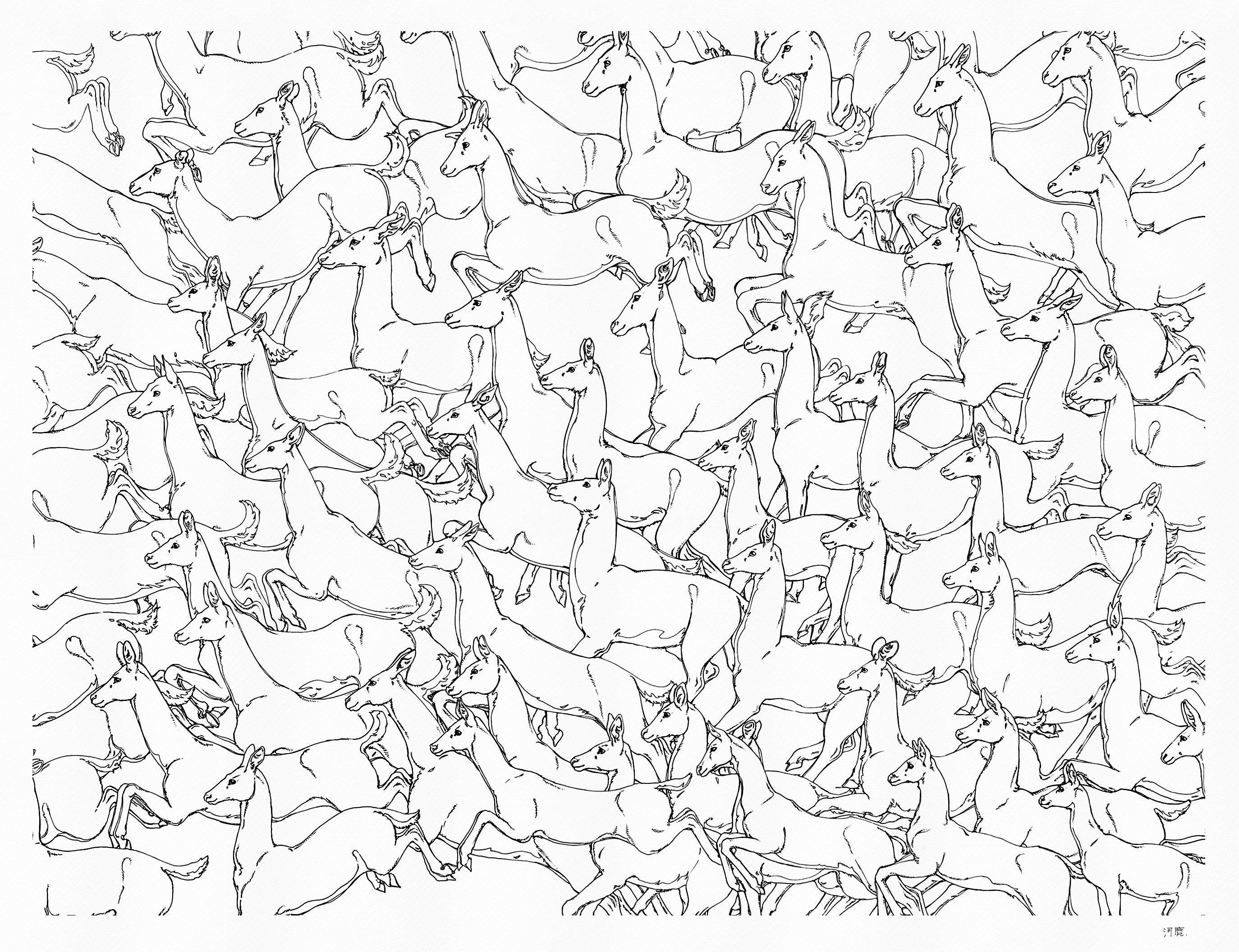 Jumping Deers, Kajika Aki