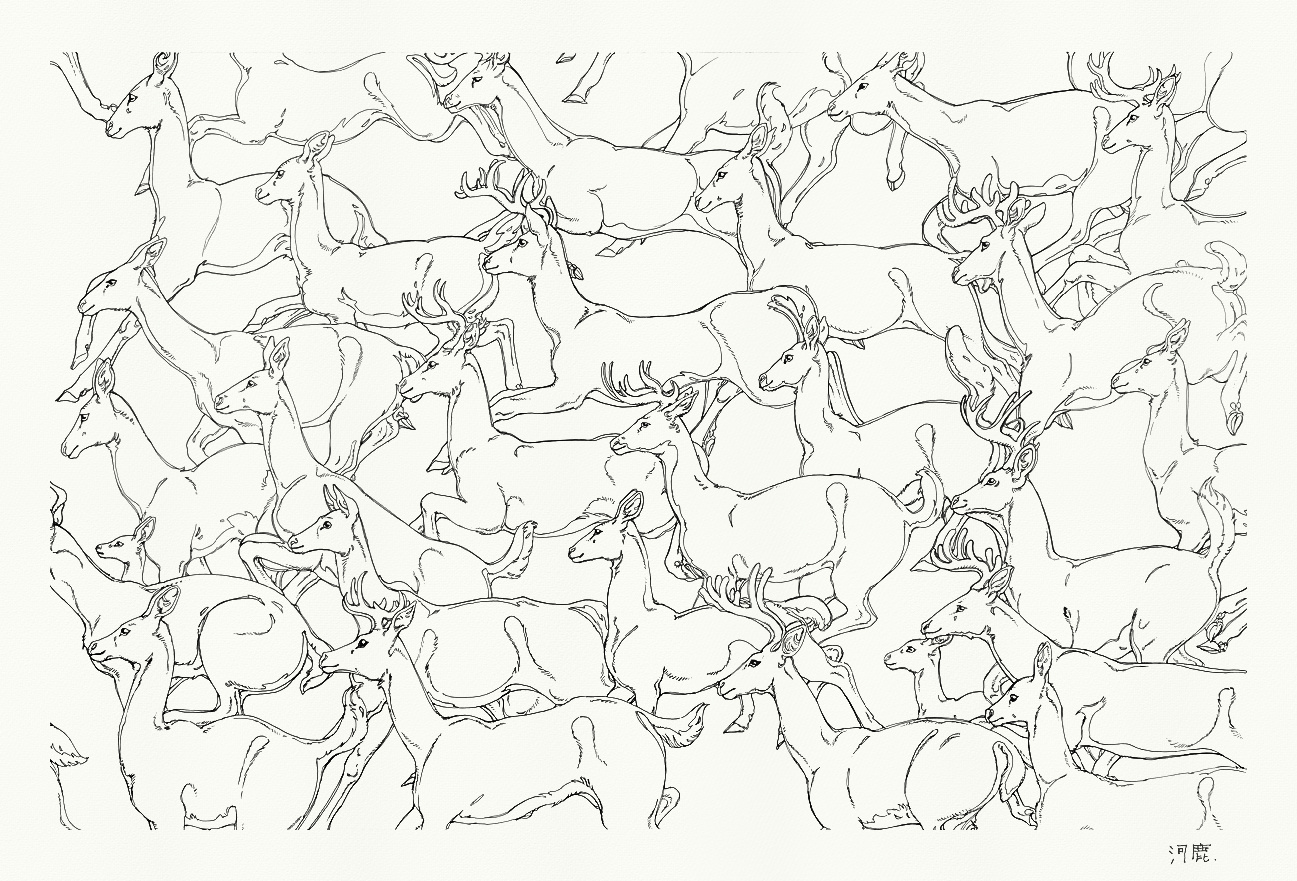 Jumping Deers, Kajika Aki